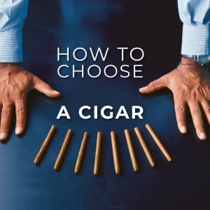 Choosing the Perfect Premium Cigar:A Buyer's Guide